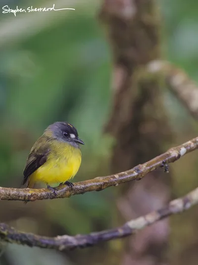 Ecuador