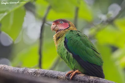 Ecuador