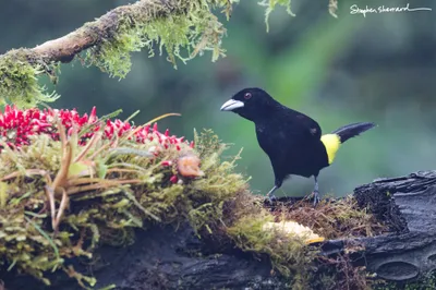 Ecuador