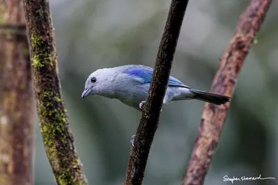 Ecuador