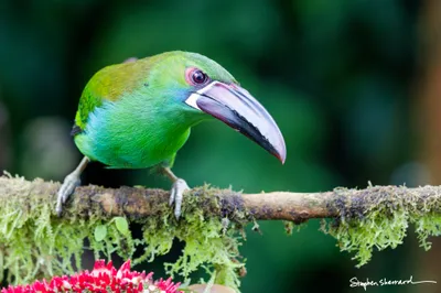 Ecuador