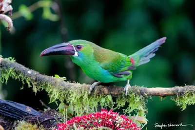 Ecuador