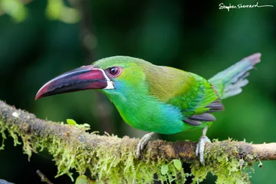 Ecuador
