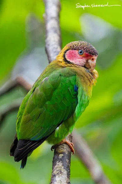Ecuador