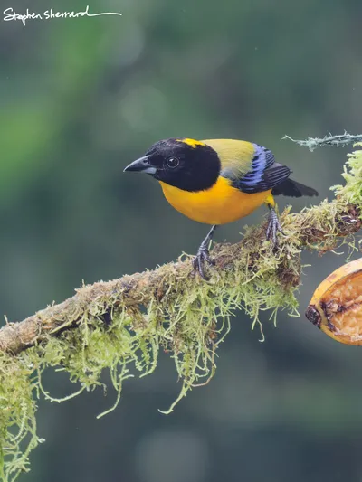 Ecuador