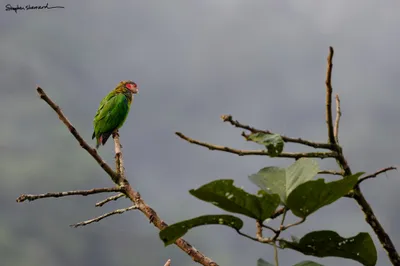 Ecuador