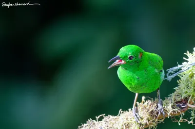 Ecuador