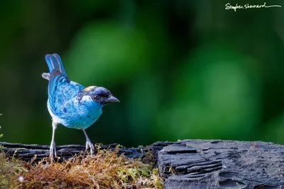 Ecuador
