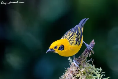 Ecuador