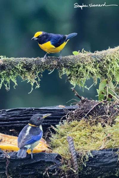 Ecuador