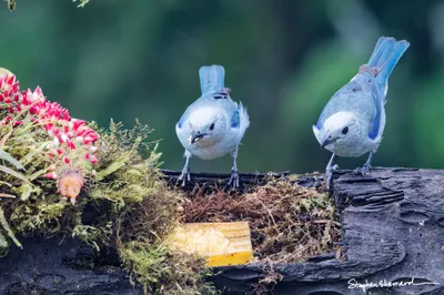 Ecuador