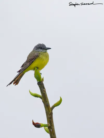 Ecuador