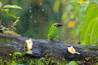 Ecuador