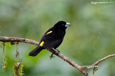 Ecuador