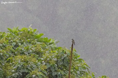 Ecuador