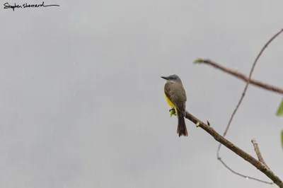 Ecuador