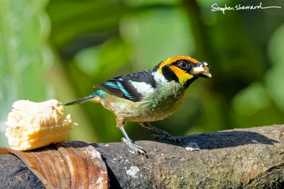 Ecuador